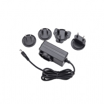 30W 12V 2.5A 24V 1.25A Interchangeable Plug Power Adapter